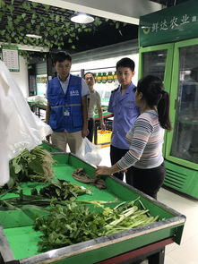 武陵区食药监局扎实开展食用农产品专项抽检工作 筑牢食品安全防线